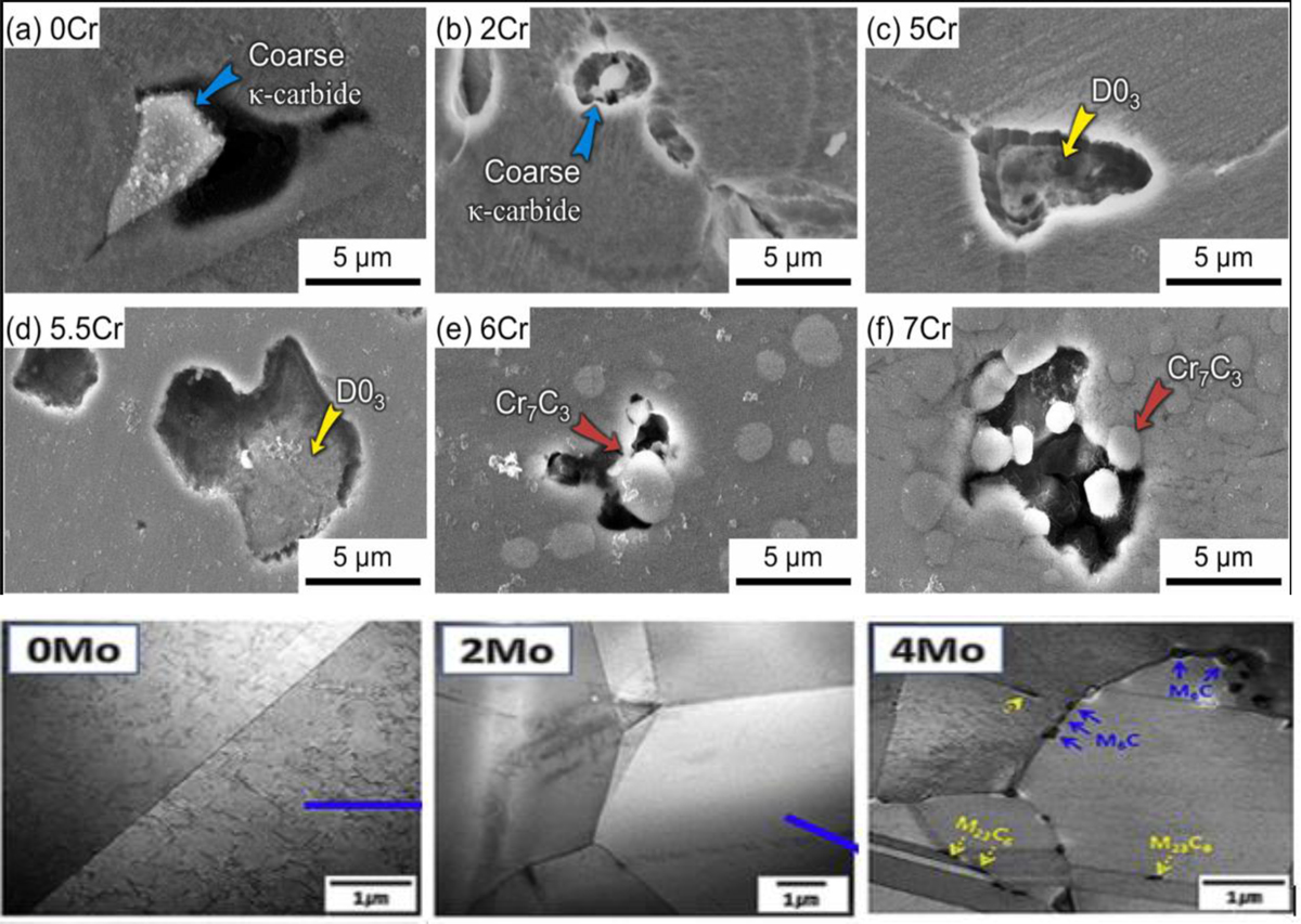 Fig. 2 Refer to the following caption and surrounding text.