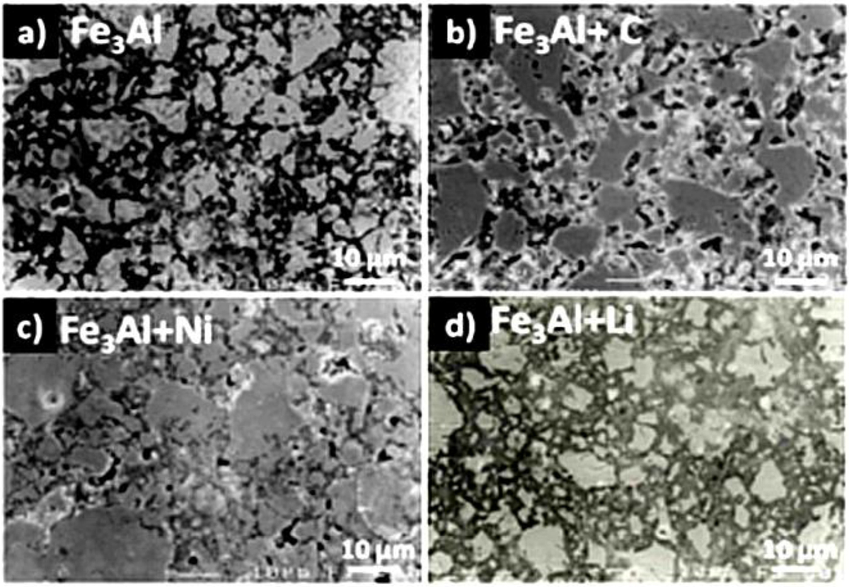 Fig. 3 Refer to the following caption and surrounding text.