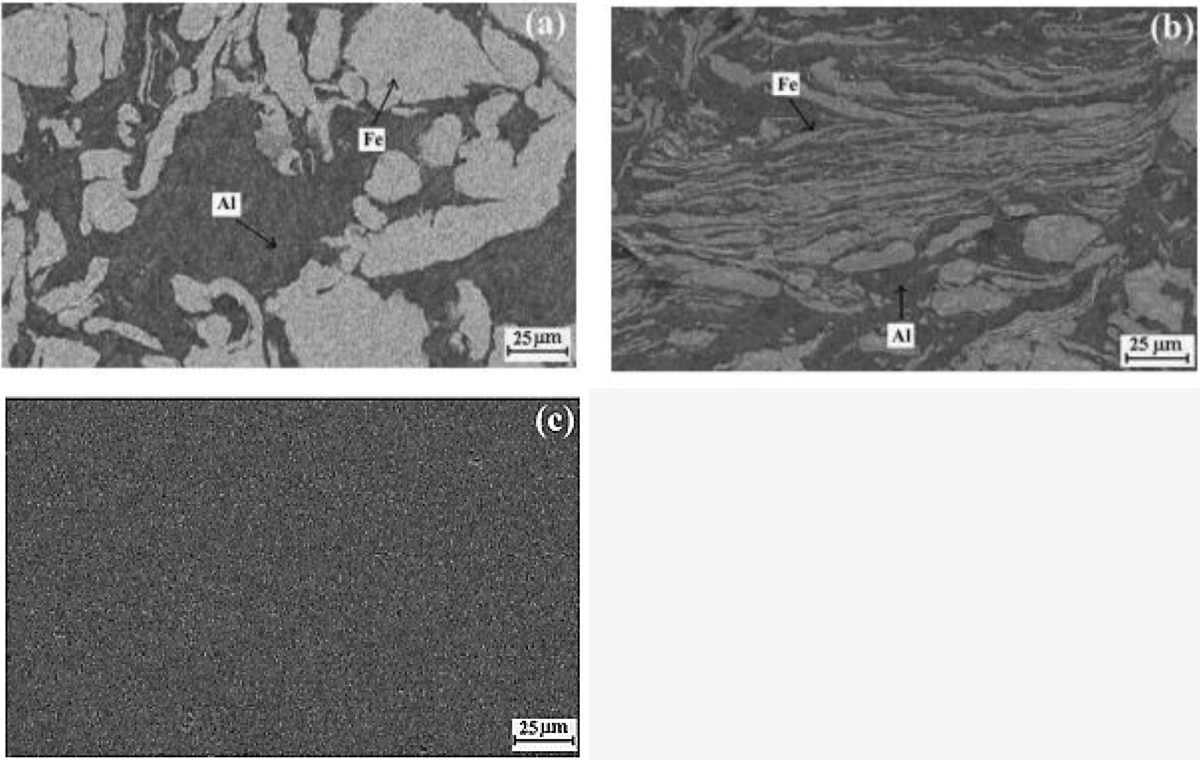 Fig. 5 Refer to the following caption and surrounding text.