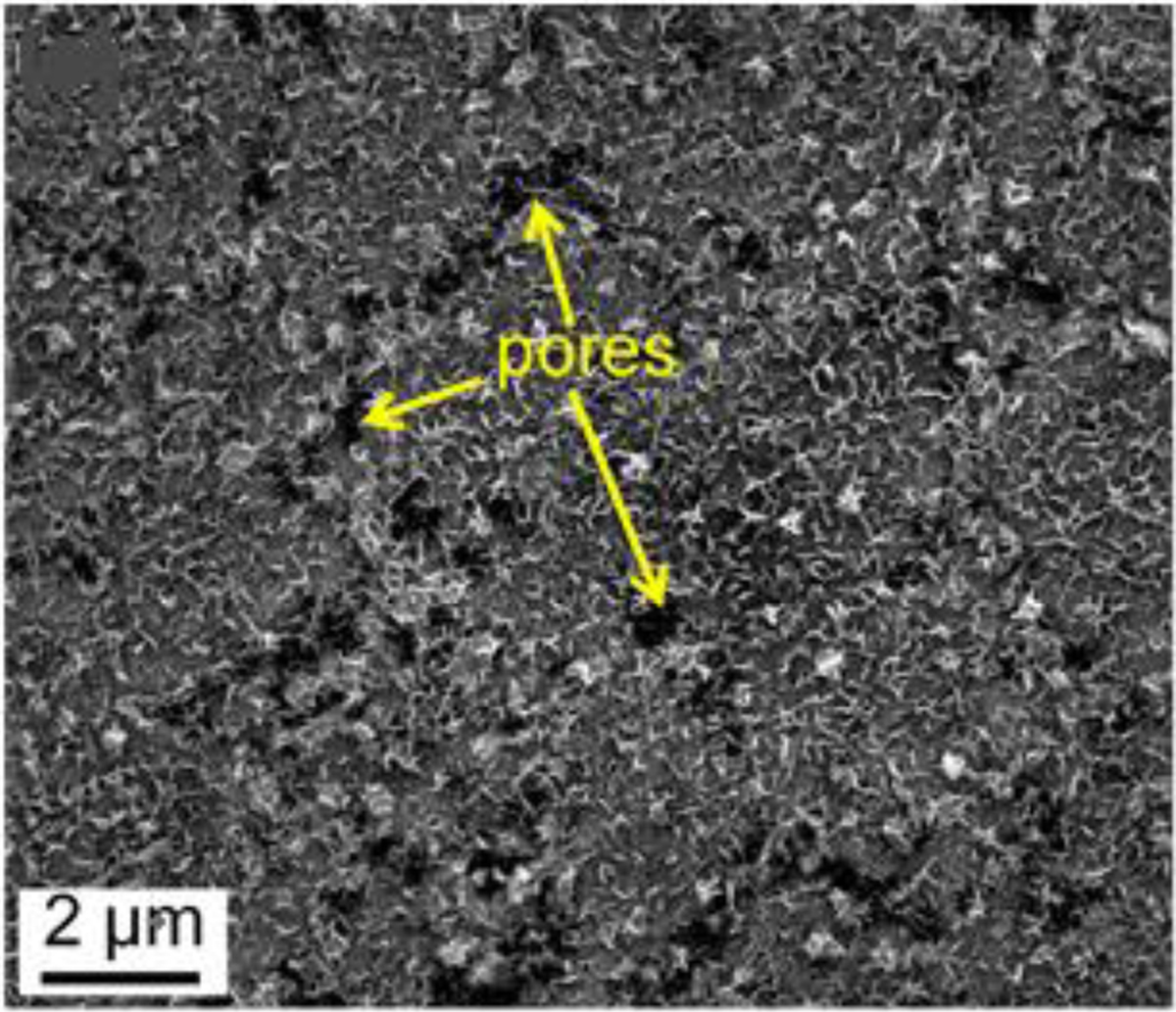 Fig. 7 Refer to the following caption and surrounding text.