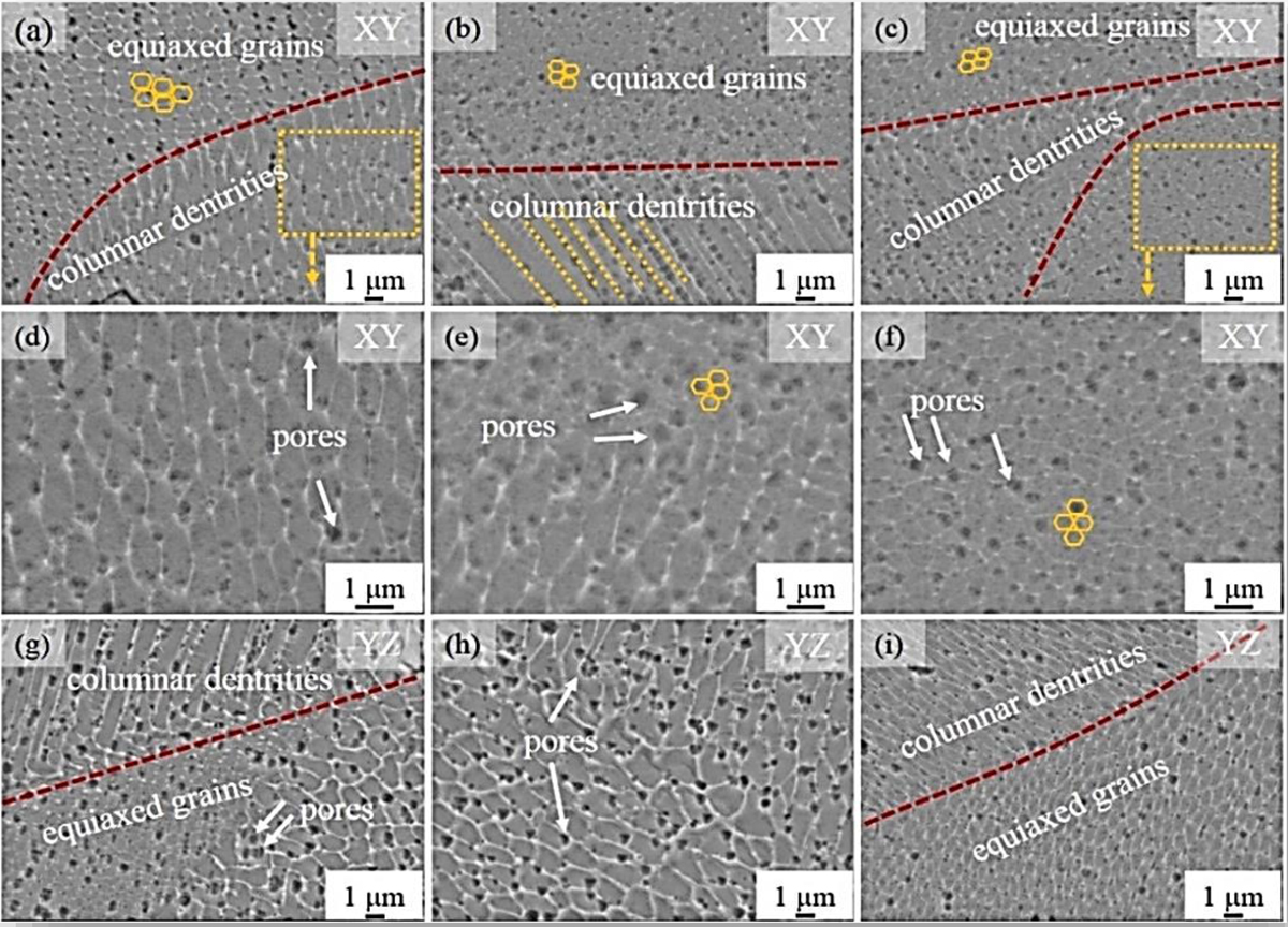 Fig. 8 Refer to the following caption and surrounding text.