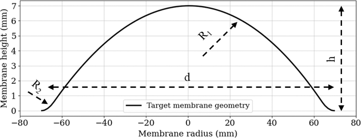 Fig. 7 Refer to the following caption and surrounding text.