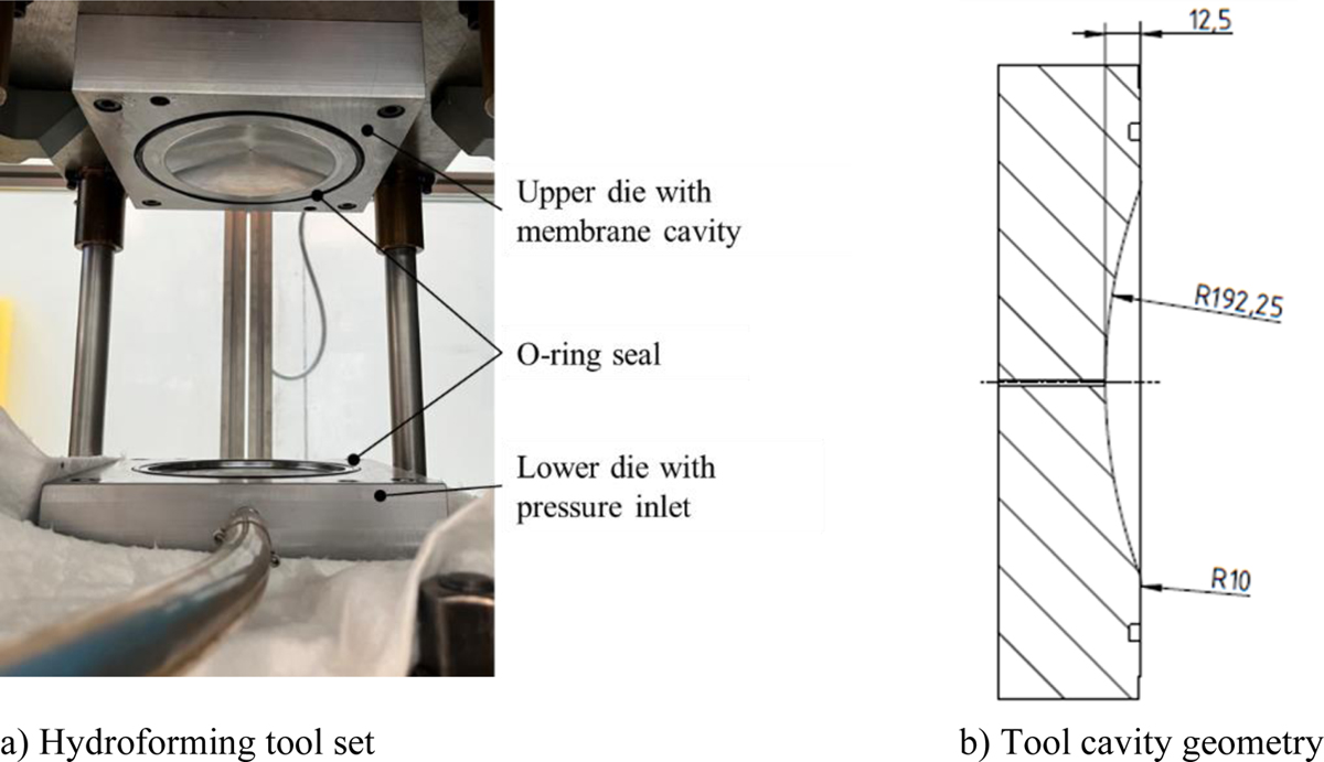 Fig. 8 Refer to the following caption and surrounding text.