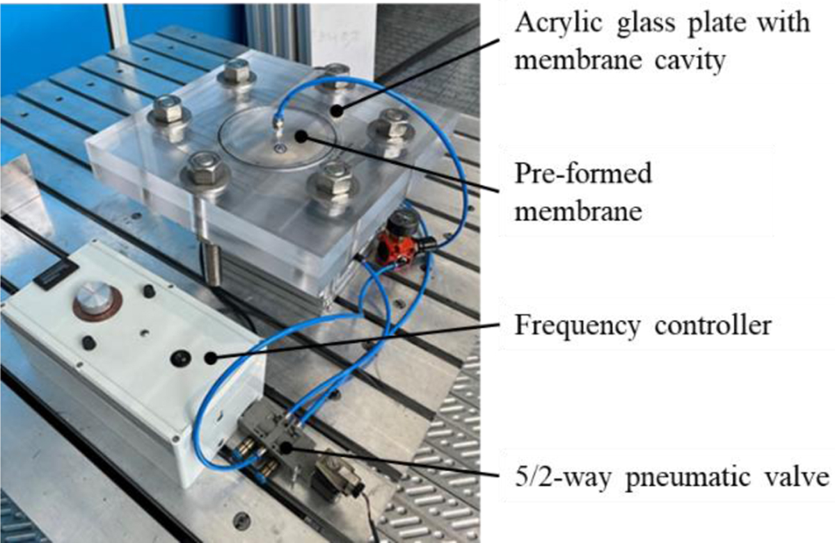 Fig. 9 Refer to the following caption and surrounding text.