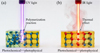 Thumbnail: Fig. 1 Refer to the following caption and surrounding text.